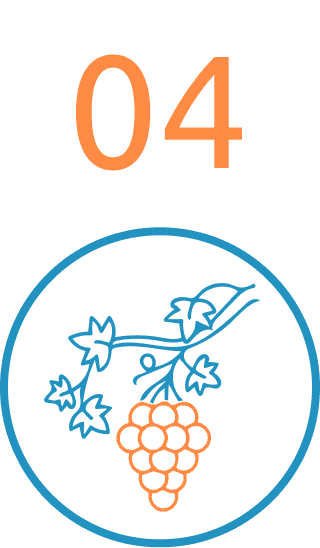 agriculture-accountant-adelaide--icon4